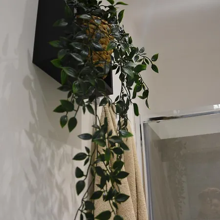 Seven Apartamento